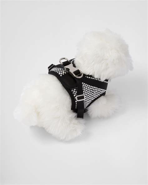 prada harness for dogs|high end rounded dog collar.